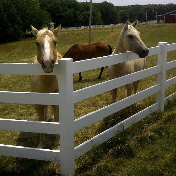 8 3Rail White PVC Horse and Ranch Fence 8 3Rail White PVC Horse and Ranch Fence